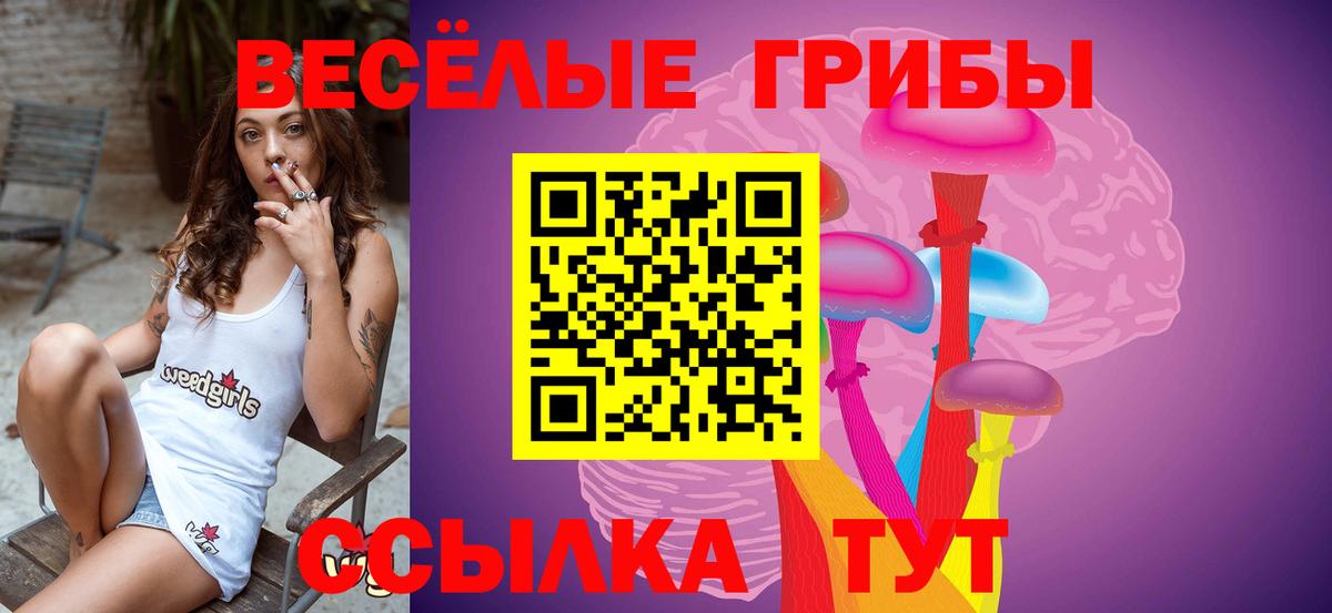 Электросталь  Галлюциногенные грибы мухоморы  Вход с VPN 