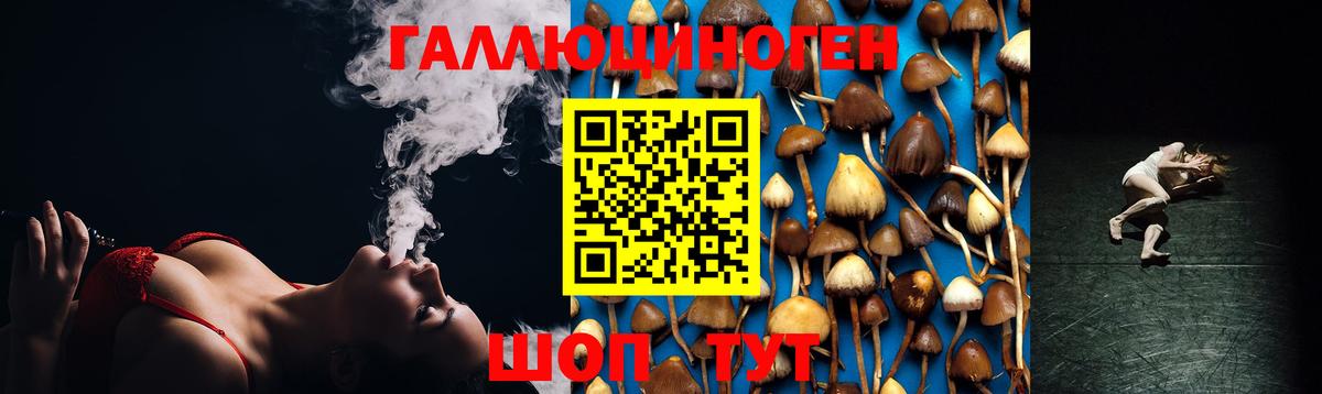 Галлюциногенные грибы мухоморы Электросталь